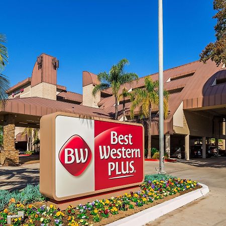 Best Western Plus Irvine Spectrum Hotel Lake Forest Εξωτερικό φωτογραφία